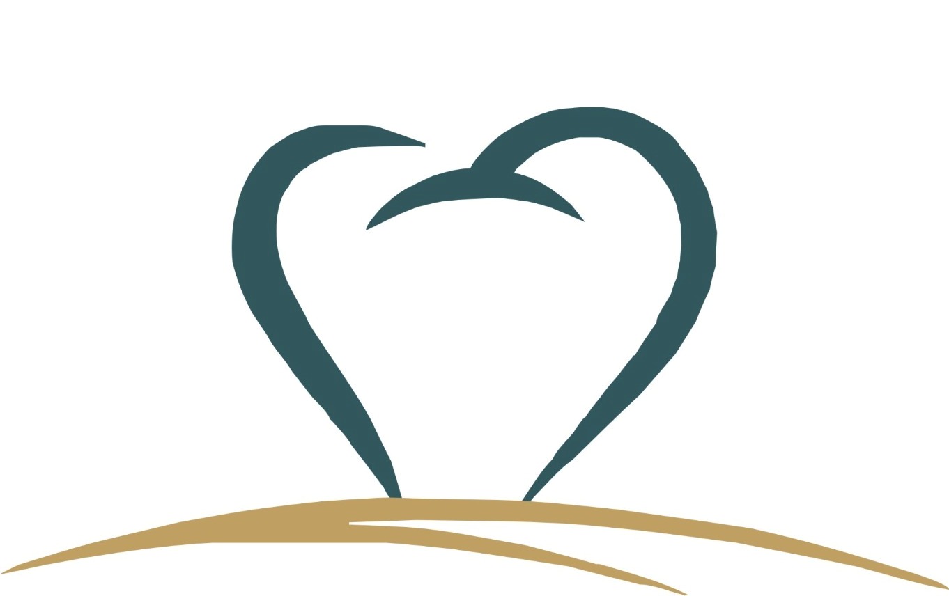 Shine Dental Logo